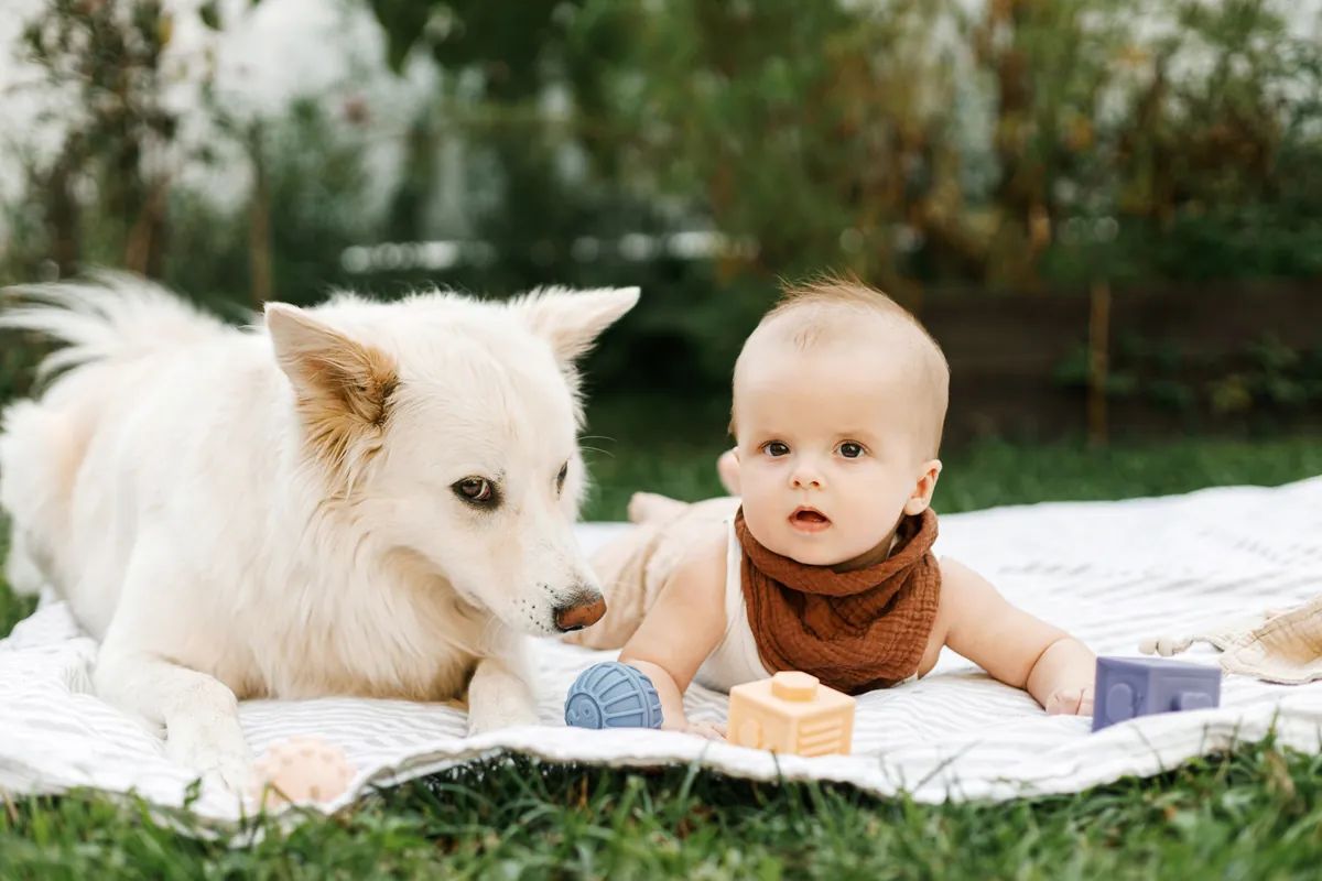 How can I make sure my baby and my pet get along?
