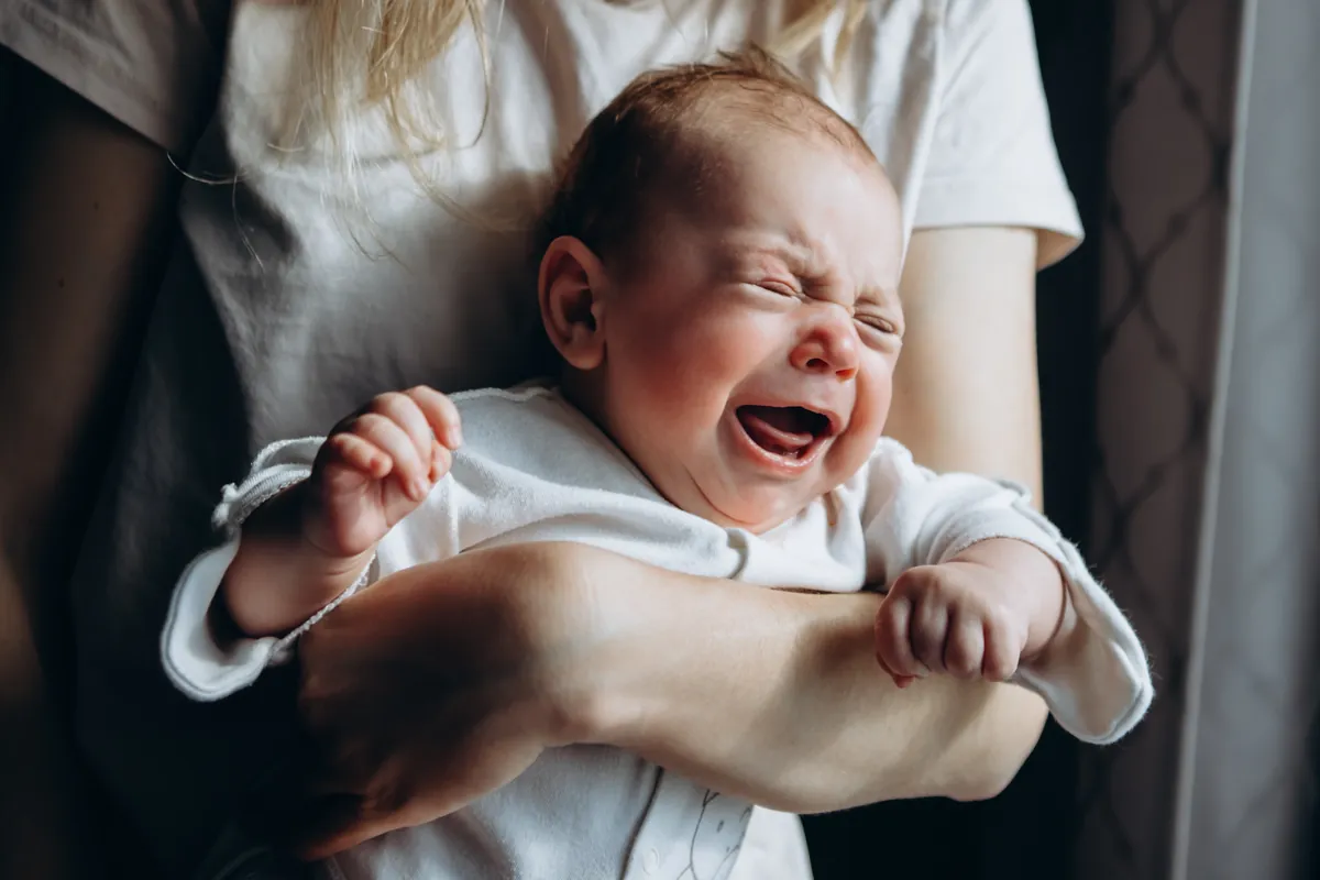 Why are baby boys more vulnerable when facing stress?