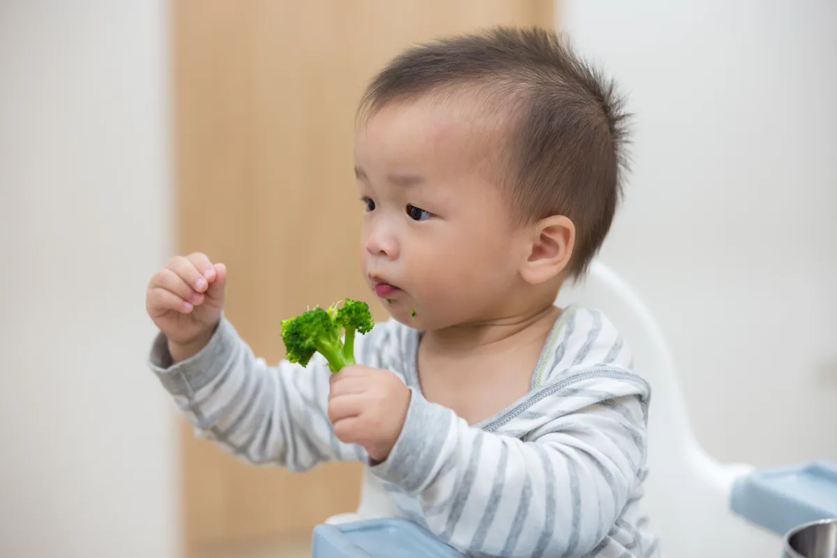 How to start baby led weaning?