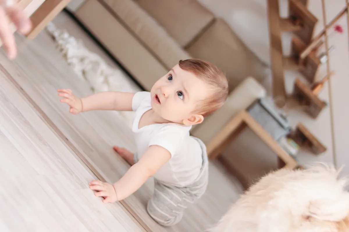 Baby on the move: Different crawling styles