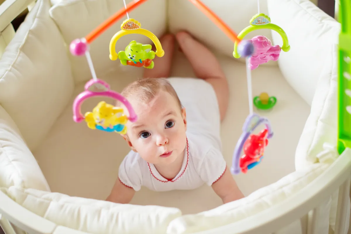 Nature vs. nurture: How to wire up the visual brain?