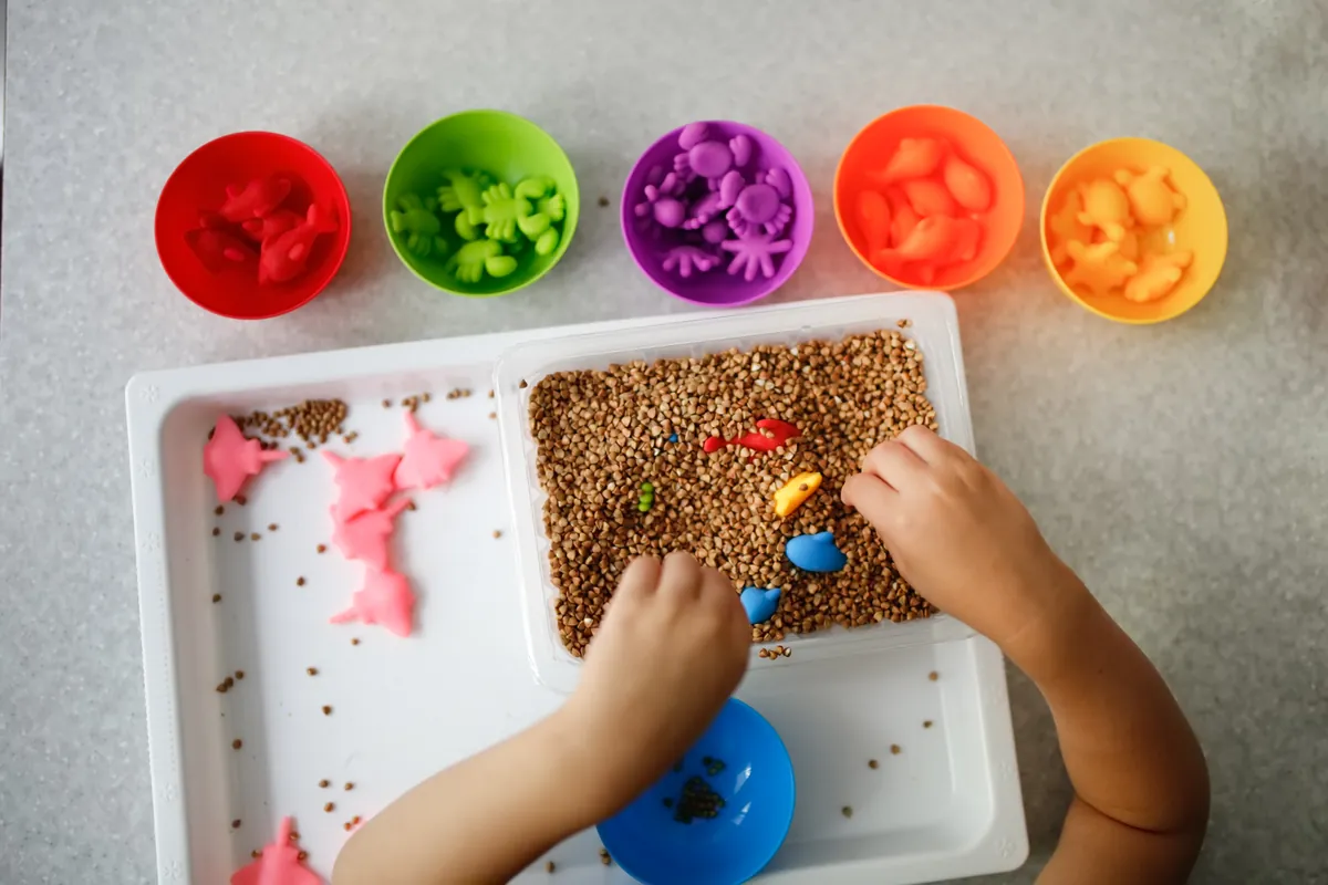 How to teach number concepts to my child?