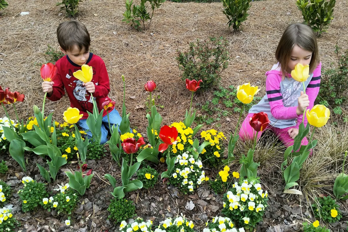 4 Spring Activities for Preschoolers