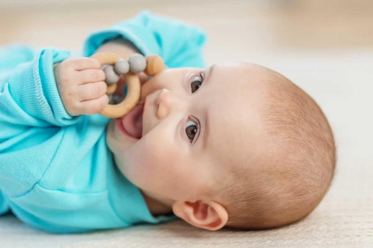 Why do babies put everything in their mouth?