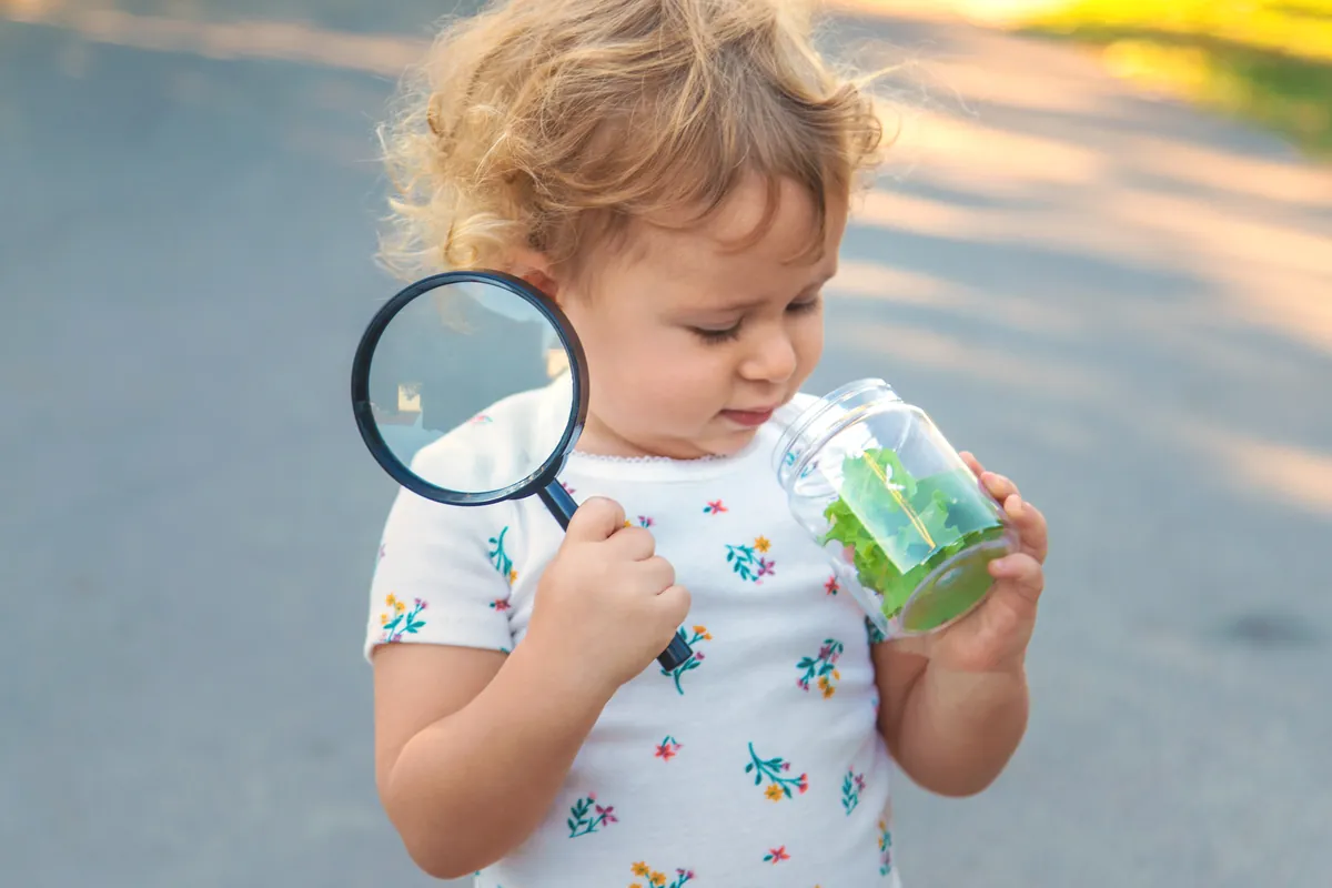 What is curiosity in children?
