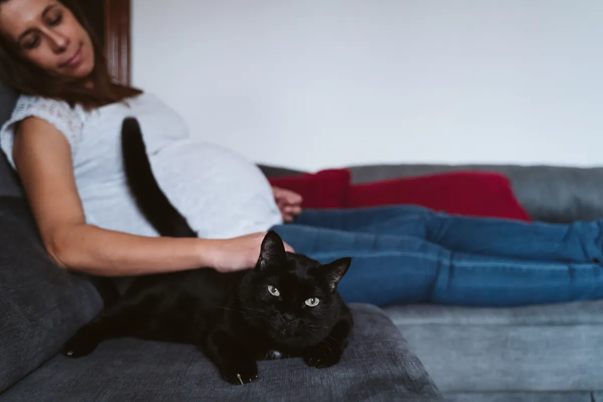 What is toxoplasmosis and how can I prevent it?