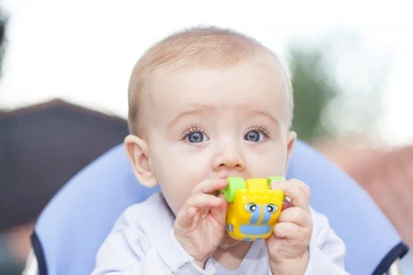 Why do babies put everything in their mouth?